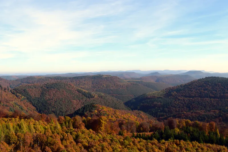 Pfälzer Wald - Südwestpfalz - Wanderungen